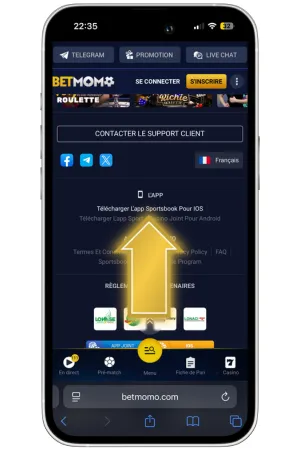 Télécharger Betmomo Casino