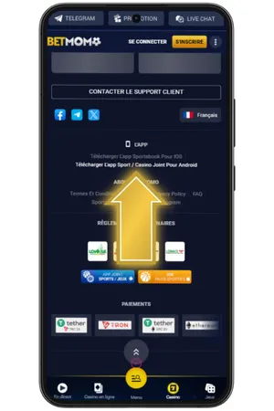 Accédez à la page d'accueil du casino Betmomo